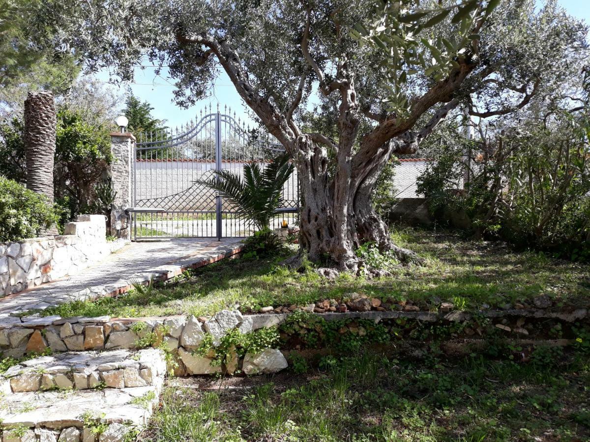 טראפטו Villa Belvedere Michelle מראה חיצוני תמונה