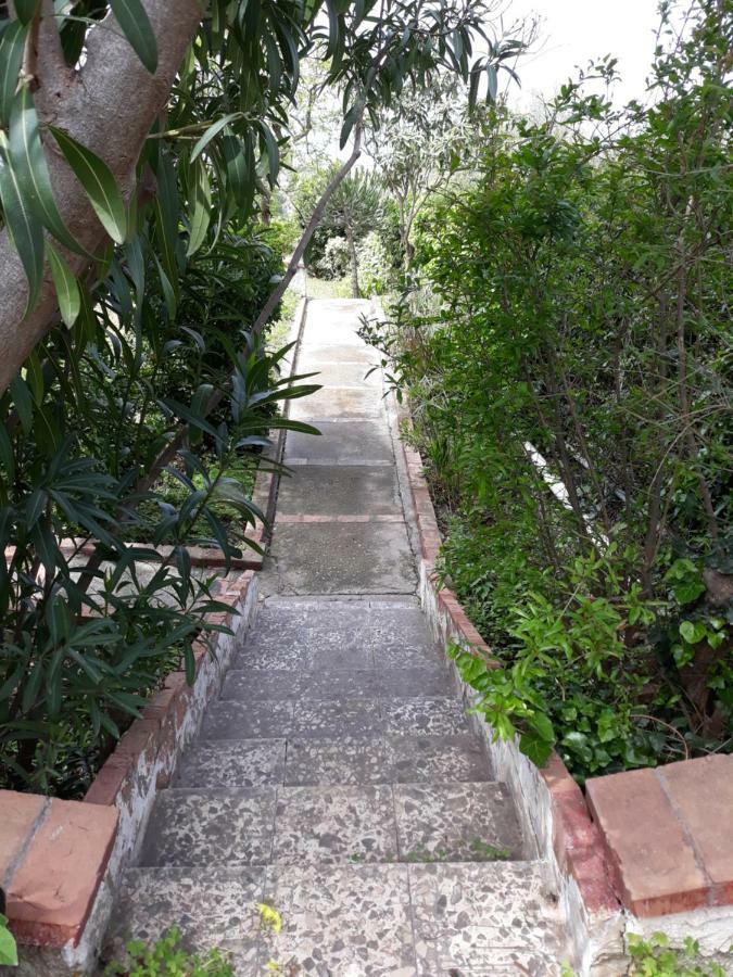 טראפטו Villa Belvedere Michelle מראה חיצוני תמונה